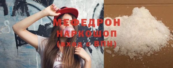дживик Няндома