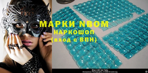 дживик Няндома