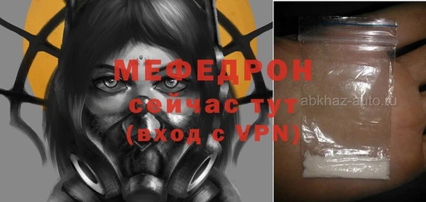 дживик Няндома