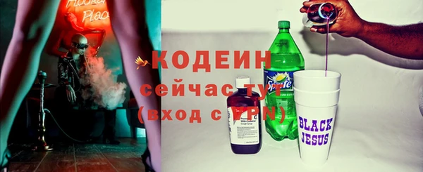 дживик Няндома