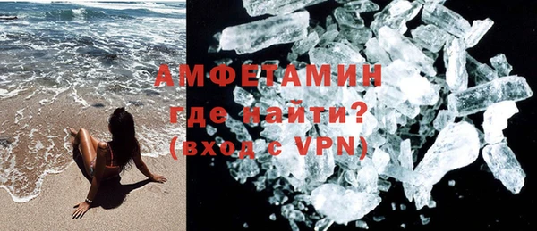 дживик Няндома