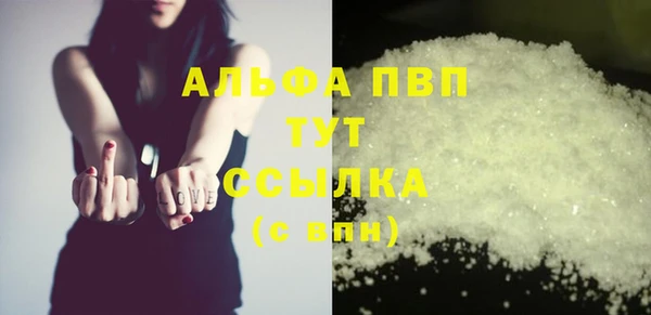 дживик Няндома