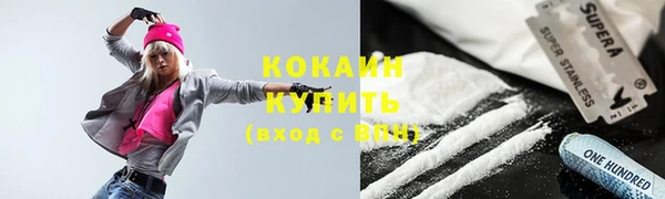 дживик Няндома