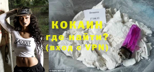 дживик Няндома