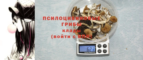 бутират Нягань
