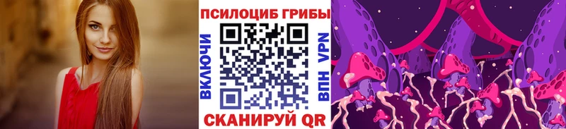 Псилоцибиновые грибы Psilocybine cubensis Болхов